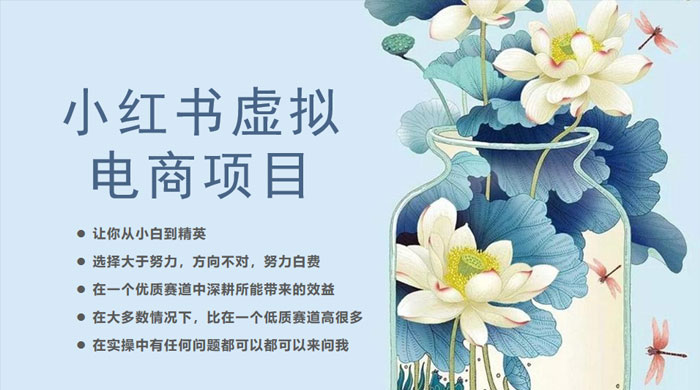 小红书虚拟电商从 0 到 1 ：让你从小白到精英（ 20 节实操课程）-客创社 - 专注互联网轻资产创业及网络项目资源整合与分享客创社-免费且强大的项目分享网站！