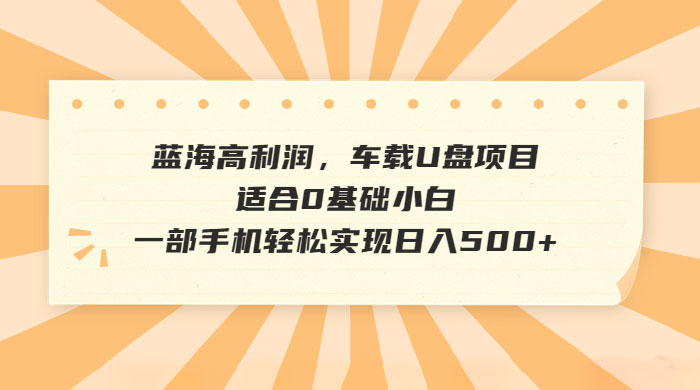 蓝海高利润，车载 U 盘项目，适合 0 基础小白-客创社 - 专注互联网轻资产创业及网络项目资源整合与分享客创社-免费且强大的项目分享网站！