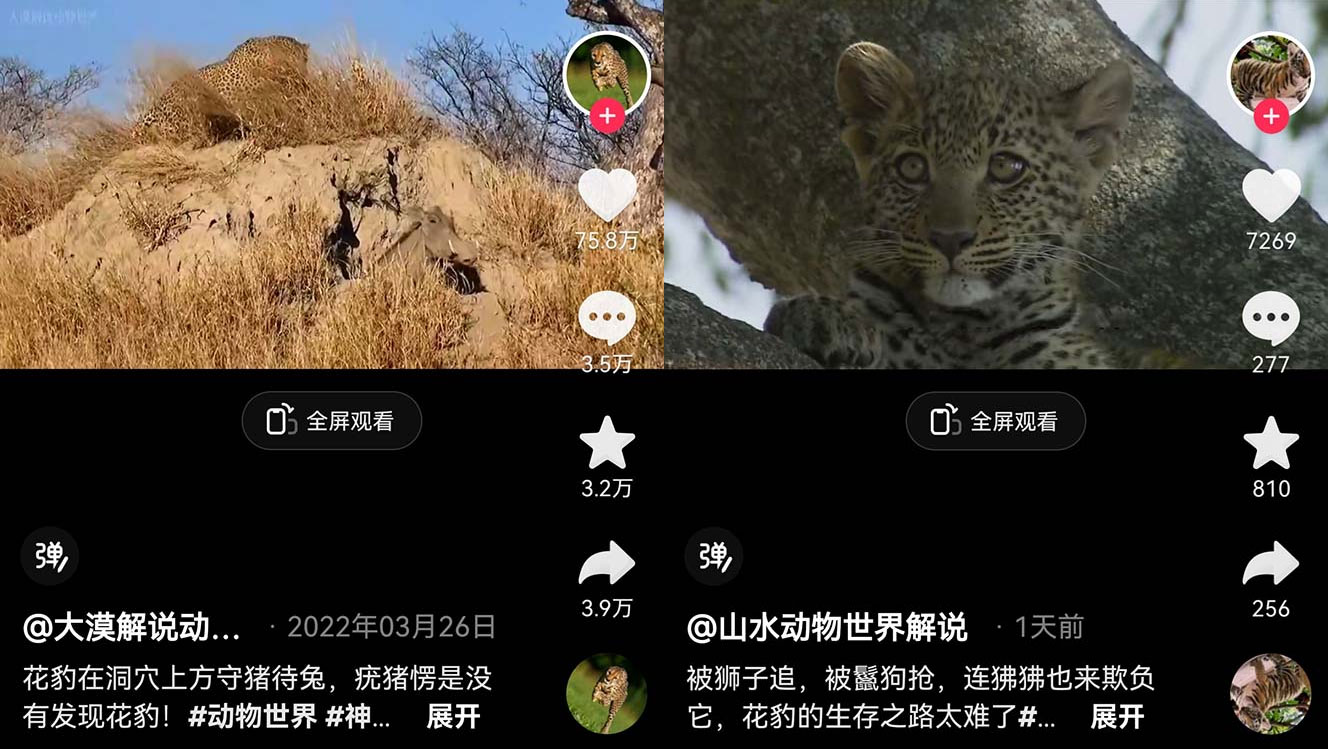 外面卖 1699 的国外纪录片解说：动物、美食、动画片解说，稳过中视频-客创社 - 专注互联网轻资产创业及网络项目资源整合与分享客创社-免费且强大的项目分享网站！