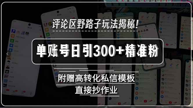 （15466期）评论区野路子玩法揭秘！单账号日引300+精准粉，附赠高转化私信模板，直…-客创社 - 专注互联网轻资产创业及网络项目资源整合与分享客创社-免费且强大的项目分享网站！