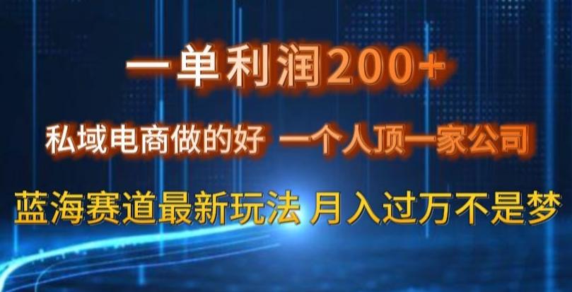 一单利润200私域电商做的好，一个人顶一家公司蓝海赛道最新玩法【揭秘】客创社 - 专注互联网轻资产创业及网络项目资源整合与分享客创社 - 专注互联网轻资产创业及网络项目资源整合与分享