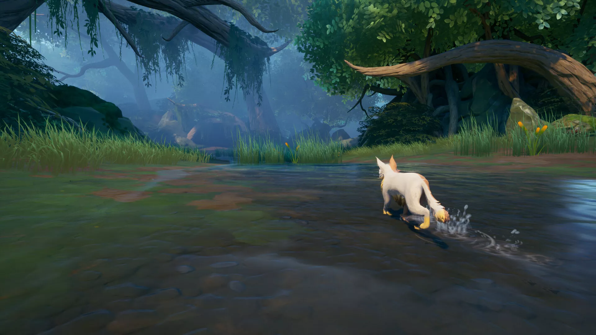 猫武士：森林部族/Warrior Cats: Clans of the Forest 内置汉化新游发布