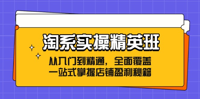 淘系实操精英班：从入门到精通，全面覆盖，一站式掌握店铺盈利秘籍客创社 - 专注互联网轻资产创业及网络项目资源整合与分享客创社 - 专注互联网轻资产创业及网络项目资源整合与分享