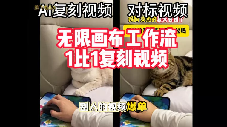 宠物带货视频复刻，无限画布工作流1比1，不用拍摄、不用布景、不用真人出镜，几分钟就能做出一条专业带货视频星享资源网HS游戏库