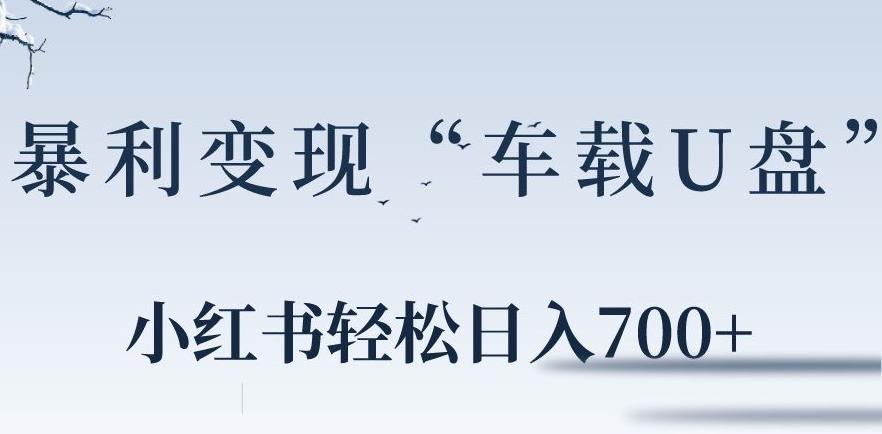小红书“车载U盘”暴利引流，日入700+客创社 - 专注互联网轻资产创业及网络项目资源整合与分享客创社 - 专注互联网轻资产创业及网络项目资源整合与分享
