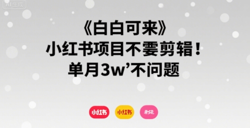小白可来 小红书项目不需要剪辑 单月3w不是问题-客创社 - 专注互联网轻资产创业及网络项目资源整合与分享客创社-免费且强大的项目分享网站！