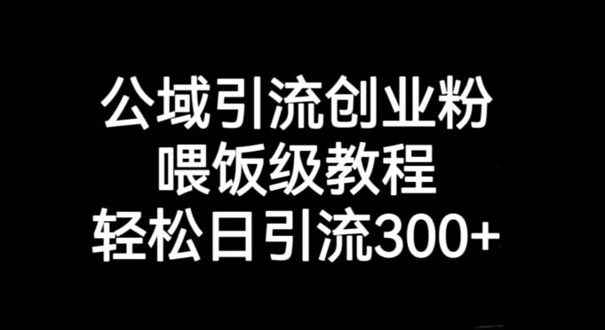 公域引流创业粉，喂饭级教程，轻松日引流300+【揭秘】客创社 - 专注互联网轻资产创业及网络项目资源整合与分享客创社 - 专注互联网轻资产创业及网络项目资源整合与分享