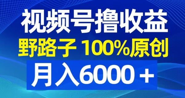 视频号野路子撸收益，100%原创，条条爆款，月入6000＋【揭秘】客创社 - 专注互联网轻资产创业及网络项目资源整合与分享客创社 - 专注互联网轻资产创业及网络项目资源整合与分享