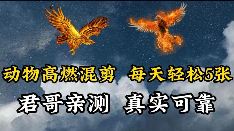 动物超燃混剪，每天轻松5张，剪辑简单大家爱看【揭秘】客创社 - 专注互联网轻资产创业及网络项目资源整合与分享客创社 - 专注互联网轻资产创业及网络项目资源整合与分享