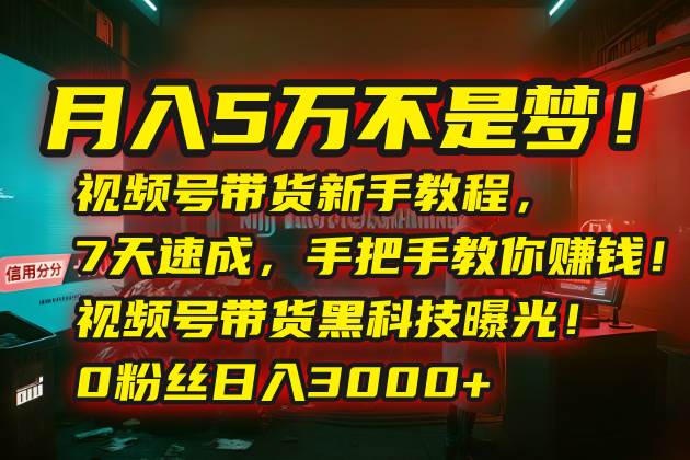 （15595期）月入5万不是梦！视频号带货新手教程，7天速成，手把手教你赚钱！视频号…-客创社 - 专注互联网轻资产创业及网络项目资源整合与分享客创社-免费且强大的项目分享网站！