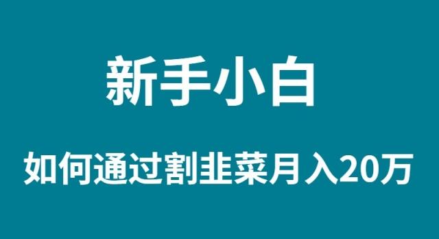 (9308期)新手小白如何通过割韭菜月入 20W客创社 - 专注互联网轻资产创业及网络项目资源整合与分享客创社 - 专注互联网轻资产创业及网络项目资源整合与分享