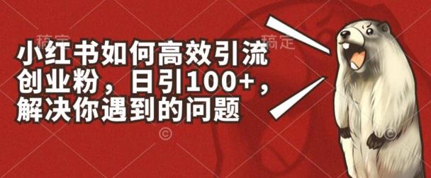 小红书如何高效引流创业粉，日引100+，解决你遇到的问题【揭秘】客创社 - 专注互联网轻资产创业及网络项目资源整合与分享客创社 - 专注互联网轻资产创业及网络项目资源整合与分享