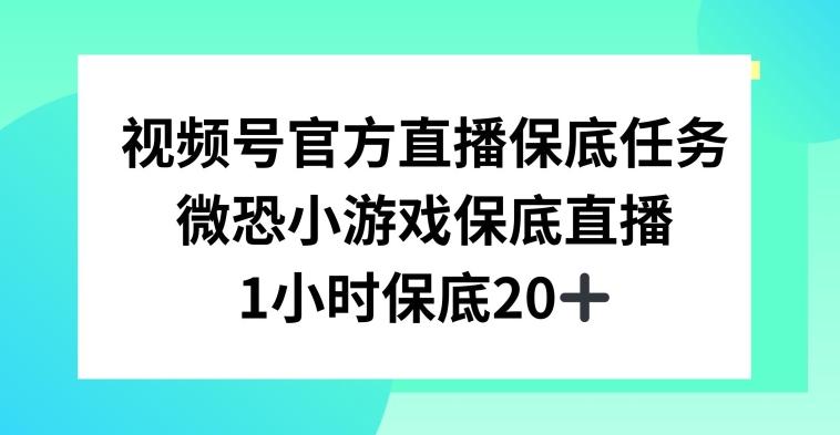 视频号直播任务，微恐小游戏，1小时20+【揭秘】客创社 - 专注互联网轻资产创业及网络项目资源整合与分享客创社 - 专注互联网轻资产创业及网络项目资源整合与分享
