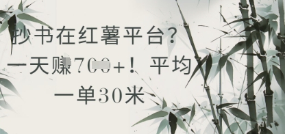 抄书在小红薯平台？平均一单30米，一天收益几张！-客创社 - 专注互联网轻资产创业及网络项目资源整合与分享客创社-免费且强大的项目分享网站！