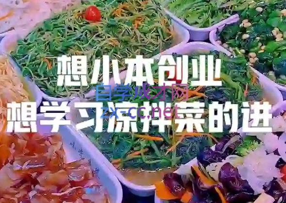 李记·精品凉拌菜系列热卤系列教程客创社区-专注互联网轻资产资源整合与分享客创社区-专注互联网网络项目资源整合与分享