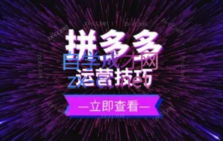 力辛电商·拼多多强付费店群玩法客创社区-专注互联网轻资产资源整合与分享客创社区-专注互联网网络项目资源整合与分享