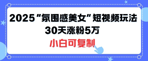 不露脸也能火！2025“氛围感美女”短视频玩法，30天涨粉5W小白可复制客创社区-专注互联网轻资产资源整合与分享客创社区-专注互联网轻资产资源整合与分享