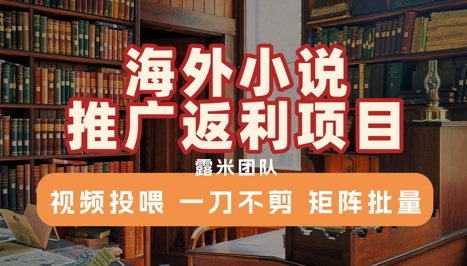 海外小说推广返利项目，视频投喂， 一刀不剪，矩阵批量客创社区-专注互联网轻资产资源整合与分享客创社区-专注互联网轻资产资源整合与分享