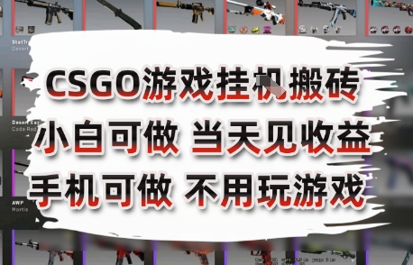 CSGO游戏挂G搬砖，小白纯手机即可操作，不用电脑打游戏，日入3张+，副业网创项目【揭秘】客创社区-专注互联网轻资产资源整合与分享客创社区-专注互联网轻资产资源整合与分享