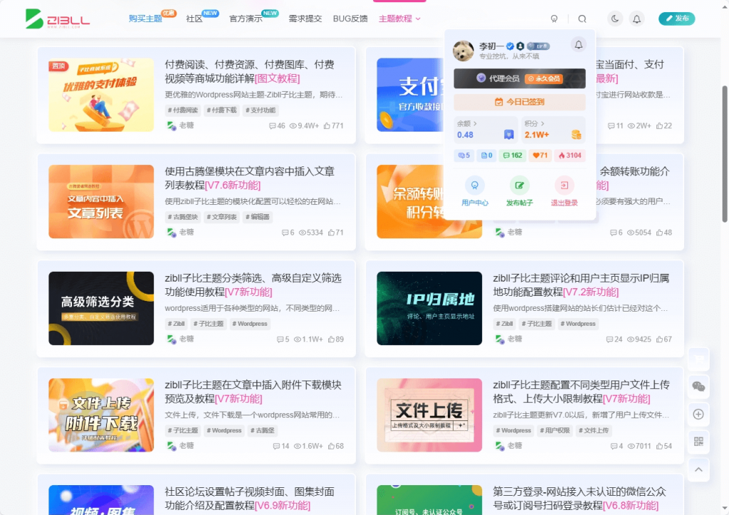 子比主题美化 – 拟态CSS