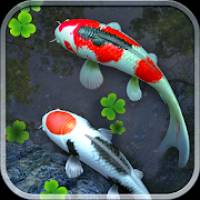 Water Garden Live Wallpaper 锦鲤3D动态壁纸2.0专业版客创社区-专注互联网轻资产资源整合与分享客创社区-专注互联网轻资产资源整合与分享