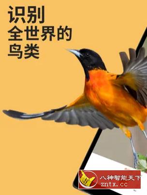 Picture Bird 拍照识鸟2.9.30高级版客创社区-专注互联网轻资产资源整合与分享客创社区-专注互联网轻资产资源整合与分享
