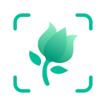 PictureThis 植物识别v5.0.19专业版客创社区-专注互联网轻资产资源整合与分享客创社区-专注互联网轻资产资源整合与分享