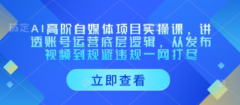 AI高阶自媒体项目实操课，讲透账号运营底层逻辑，从发布视频到规避违规一网打尽客创社区-专注互联网轻资产资源整合与分享客创社区-专注互联网轻资产资源整合与分享