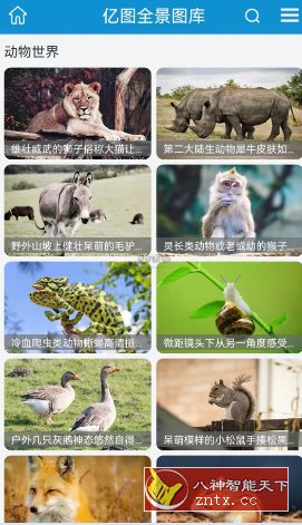亿图 v1.2.6纯净版客创社区-专注互联网轻资产资源整合与分享客创社区-专注互联网轻资产资源整合与分享