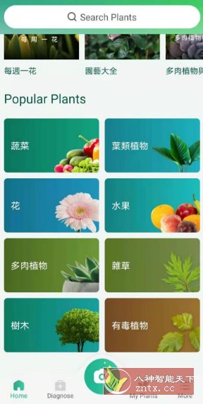 PictureThis 植物识别v5.6.0专业版客创社区-专注互联网轻资产资源整合与分享客创社区-专注互联网轻资产资源整合与分享