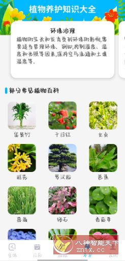 手机文字放大v1.0.1高级版客创社区-专注互联网轻资产资源整合与分享客创社区-专注互联网轻资产资源整合与分享