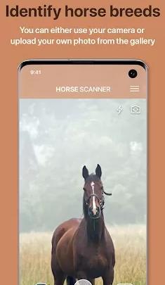 Horse Scanner 马鉴定器v12.1.0高级版客创社区-专注互联网轻资产资源整合与分享客创社区-专注互联网轻资产资源整合与分享
