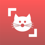 Cat Scanner 猫猫鉴定器v22.2.21-G高级版客创社区-专注互联网轻资产资源整合与分享客创社区-专注互联网轻资产资源整合与分享