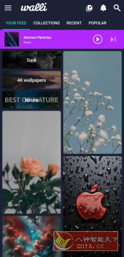 Walli Pro 4K壁纸 2.12.89高级版客创社区-专注互联网轻资产资源整合与分享客创社区-专注互联网轻资产资源整合与分享