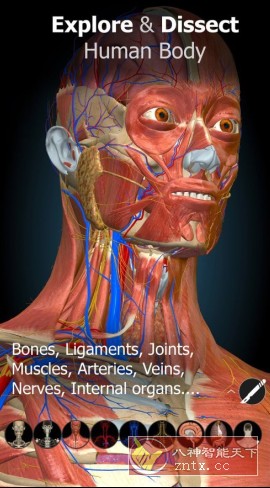 Anatomy Learning 3D解剖学v3.1.464高级版客创社区-专注互联网轻资产资源整合与分享客创社区-专注互联网轻资产资源整合与分享