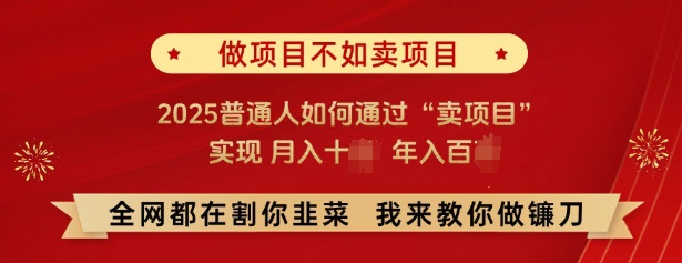 必看，做项目不如卖项目，2025普通人如何通过“卖项目”实现月入十个，年入百个客创社区-专注互联网轻资产资源整合与分享客创社区-专注互联网轻资产资源整合与分享