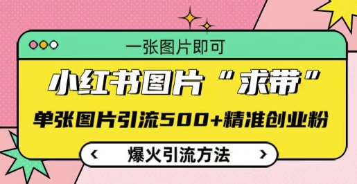 小红书图片‘求带’爆火引流法，单张图片引流500+精准创业粉【揭秘】客创社区-专注互联网轻资产资源整合与分享客创社区-专注互联网轻资产资源整合与分享