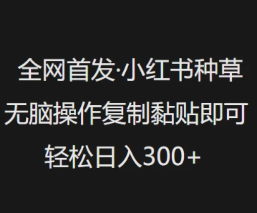 全网首发 小红书种草无脑操作复制黏贴即可 轻松日入300+客创社区-专注互联网轻资产资源整合与分享客创社区-专注互联网轻资产资源整合与分享