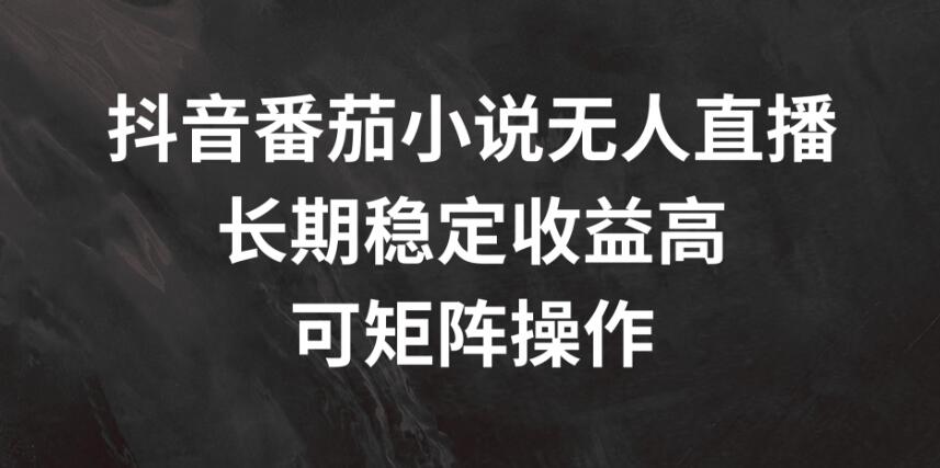 抖音番茄小说无人直播，长期稳定收益高，可矩阵操作客创社区-专注互联网轻资产资源整合与分享客创社区-专注互联网轻资产资源整合与分享