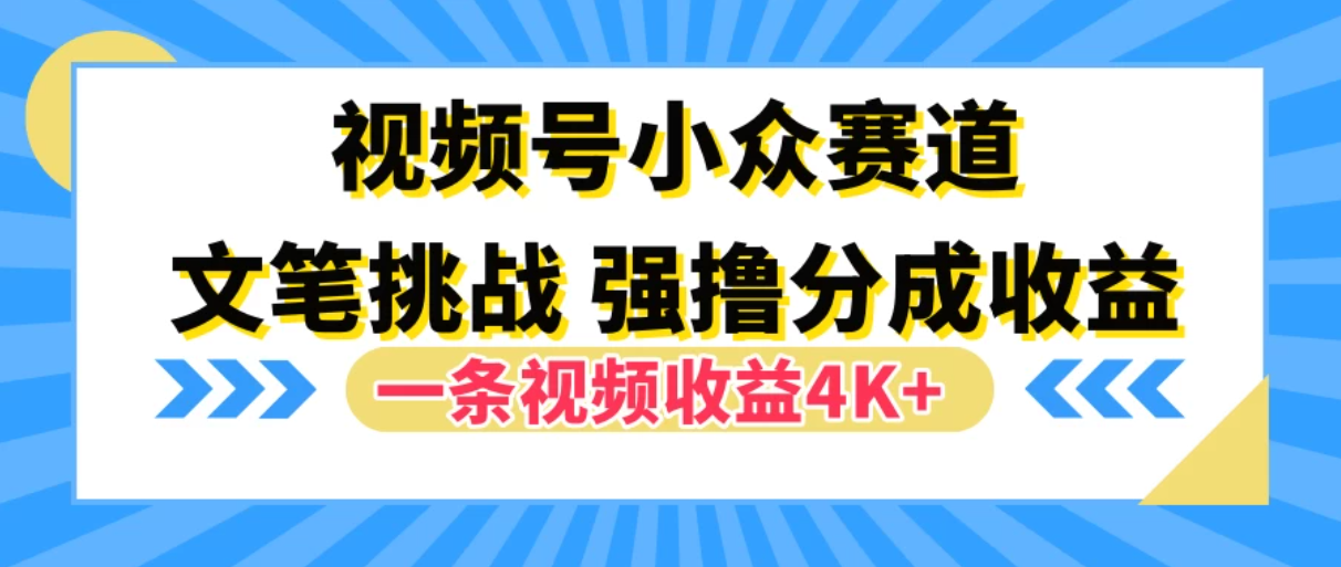 视频号小众赛道,文笔挑战,一条视频收益4K+