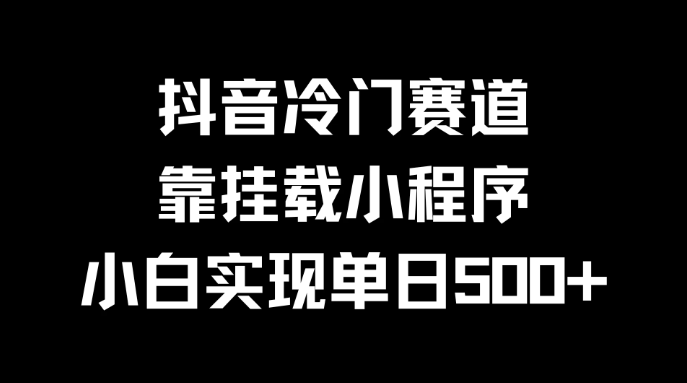 抖音冷门赛道，靠挂载小程序，小白实现单日500+客创社区-专注互联网轻资产资源整合与分享客创社区-专注互联网轻资产资源整合与分享