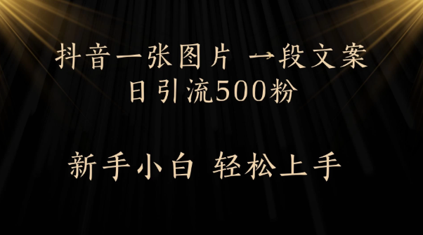 每天2分钟,抖音一张图片 一段文案日引流500粉
