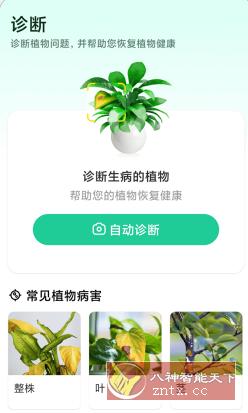 Plant Parent 植物养护v1.100高级版客创社区-专注互联网轻资产资源整合与分享客创社区-专注互联网轻资产资源整合与分享