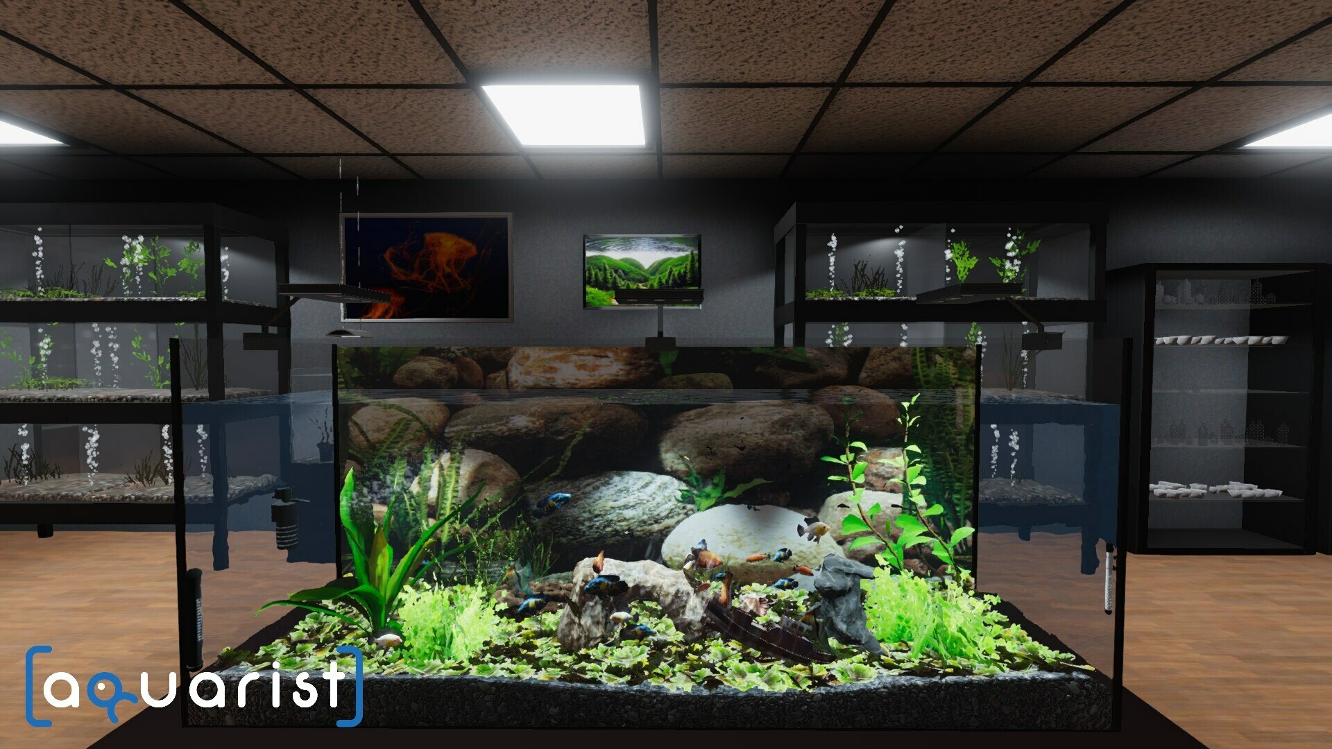 Aquarist – 建造水族馆，养鱼，发展你的事业！客创社区-专注互联网轻资产资源整合与分享客创社区-专注互联网轻资产资源整合与分享