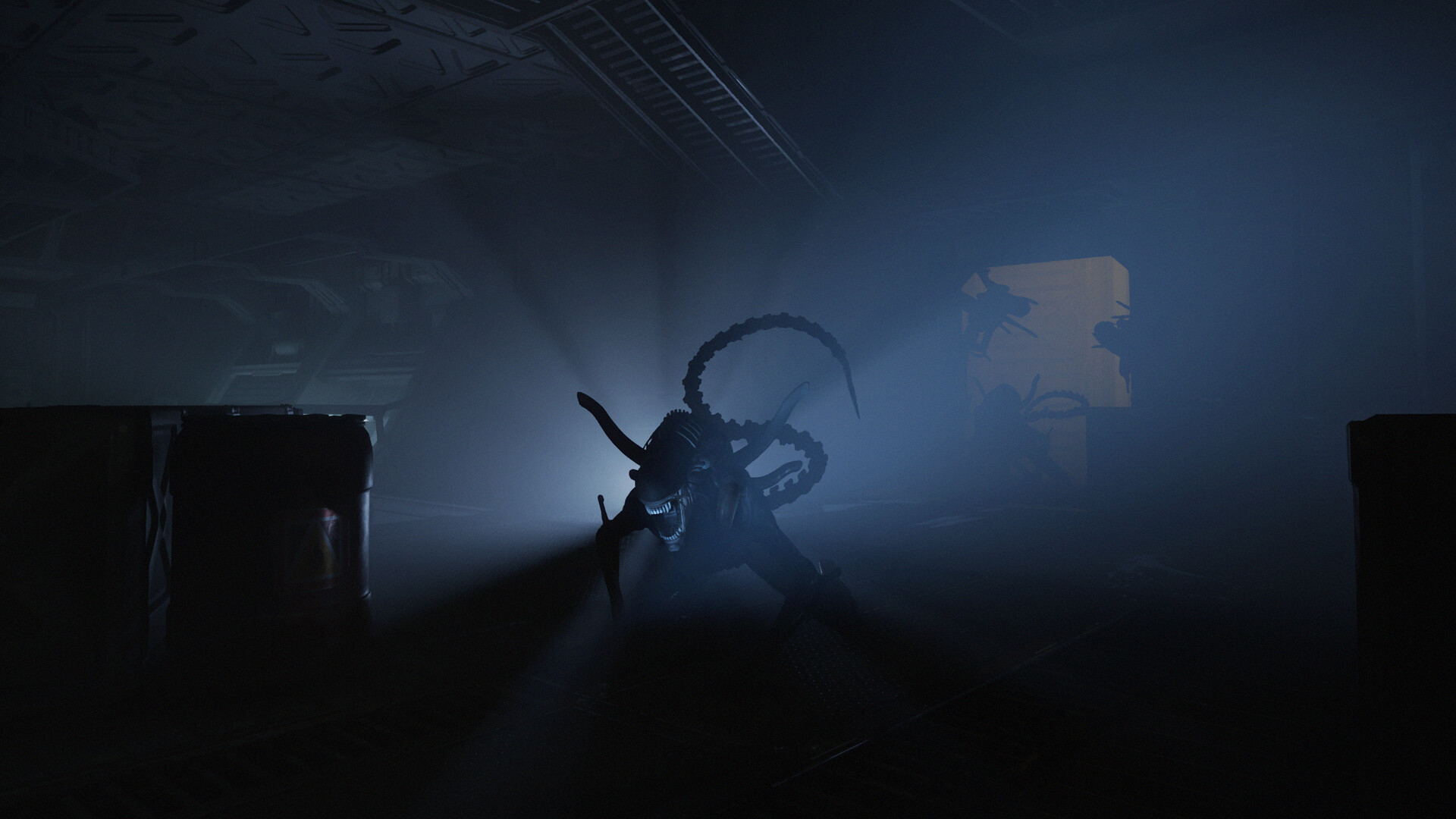 异形：盗贼入侵/Alien: Rogue Incursion Evolved Edition客创社区-专注互联网轻资产资源整合与分享客创社区-专注互联网轻资产资源整合与分享