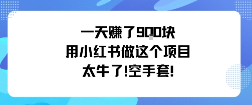 一天挣了9张用小红书做这个项目太牛了，空手套客创社区-专注互联网轻资产资源整合与分享客创社区-专注互联网轻资产资源整合与分享