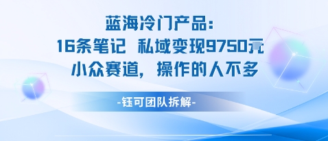 蓝海项目：16条笔记私域变现9750米小众赛道操作的人不多客创社区-专注互联网轻资产资源整合与分享客创社区-专注互联网轻资产资源整合与分享