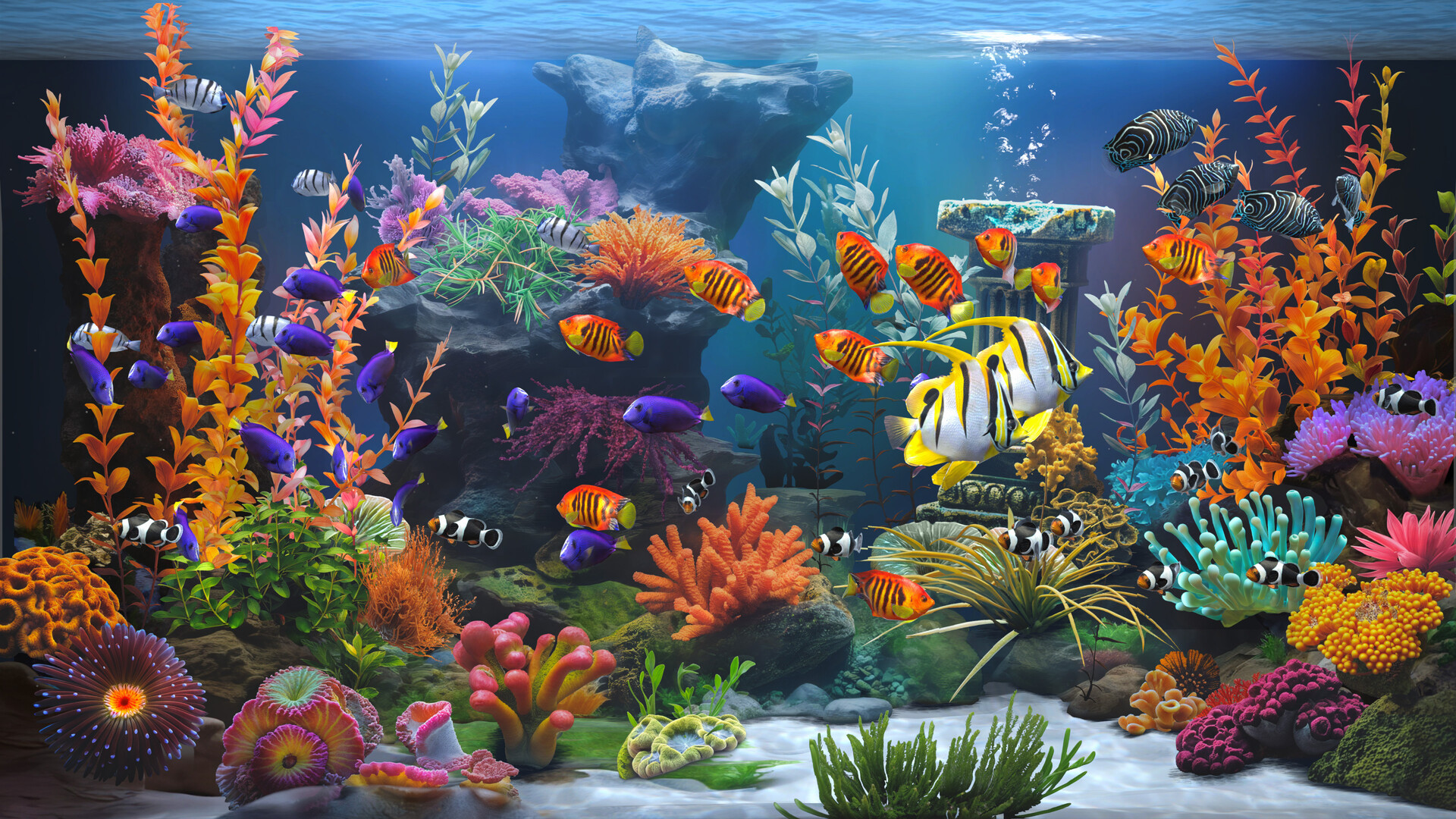 禅意水族馆/Zen Aquarium客创社区-专注互联网轻资产资源整合与分享客创社区-专注互联网轻资产资源整合与分享