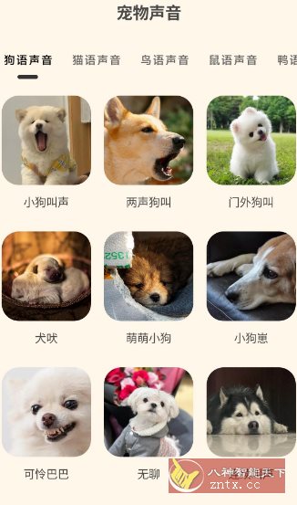 哆啦猫狗翻译器1.2.6高级版客创社区-专注互联网轻资产资源整合与分享客创社区-专注互联网轻资产资源整合与分享