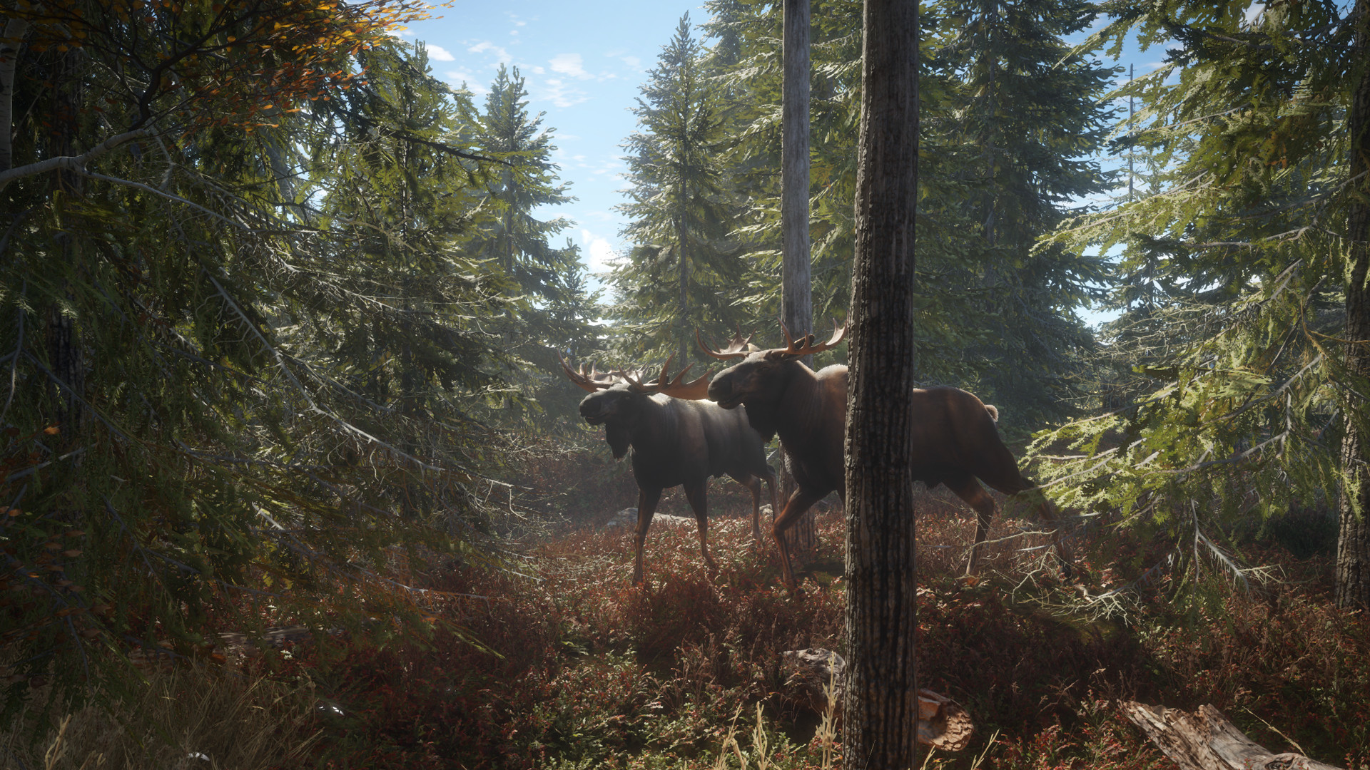 猎人：荒野的召唤/theHunter: Call of the Wild客创社区-专注互联网轻资产资源整合与分享客创社区-专注互联网轻资产资源整合与分享